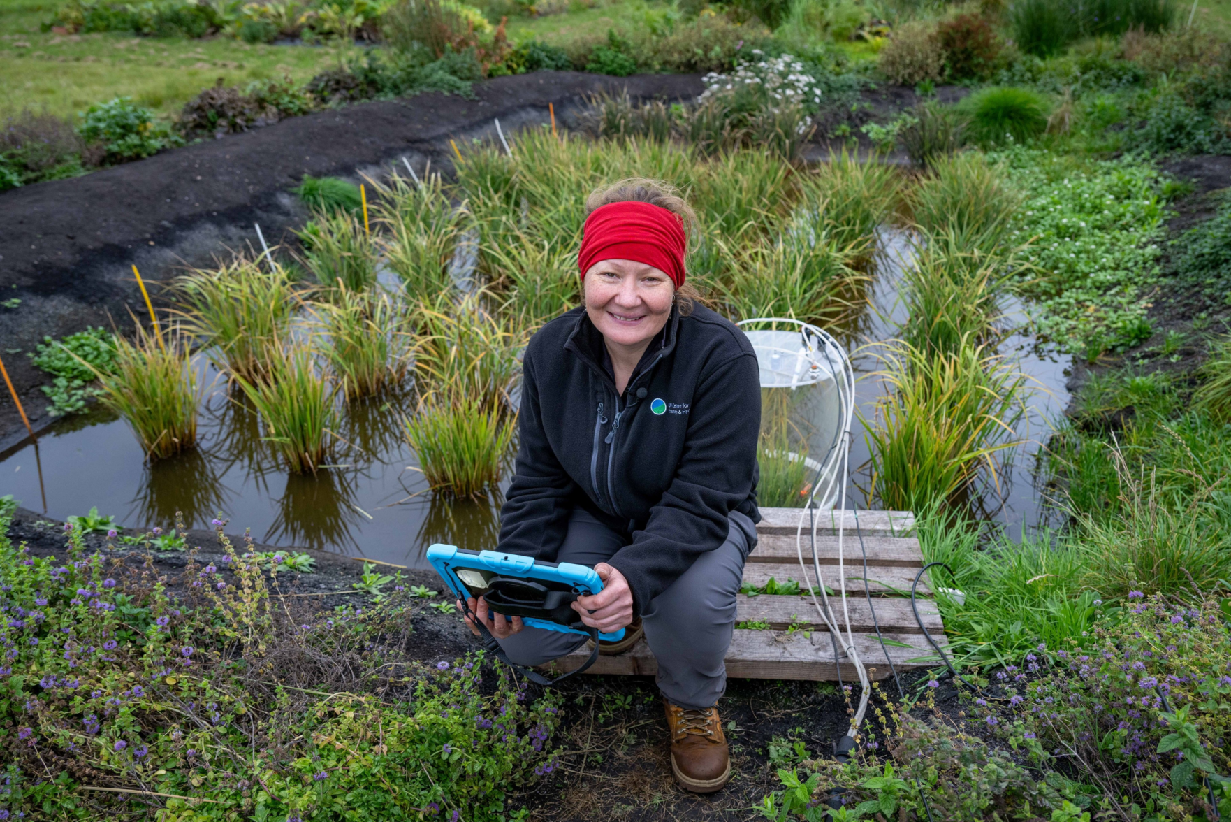 First rice crop harvested after record-breaking summer